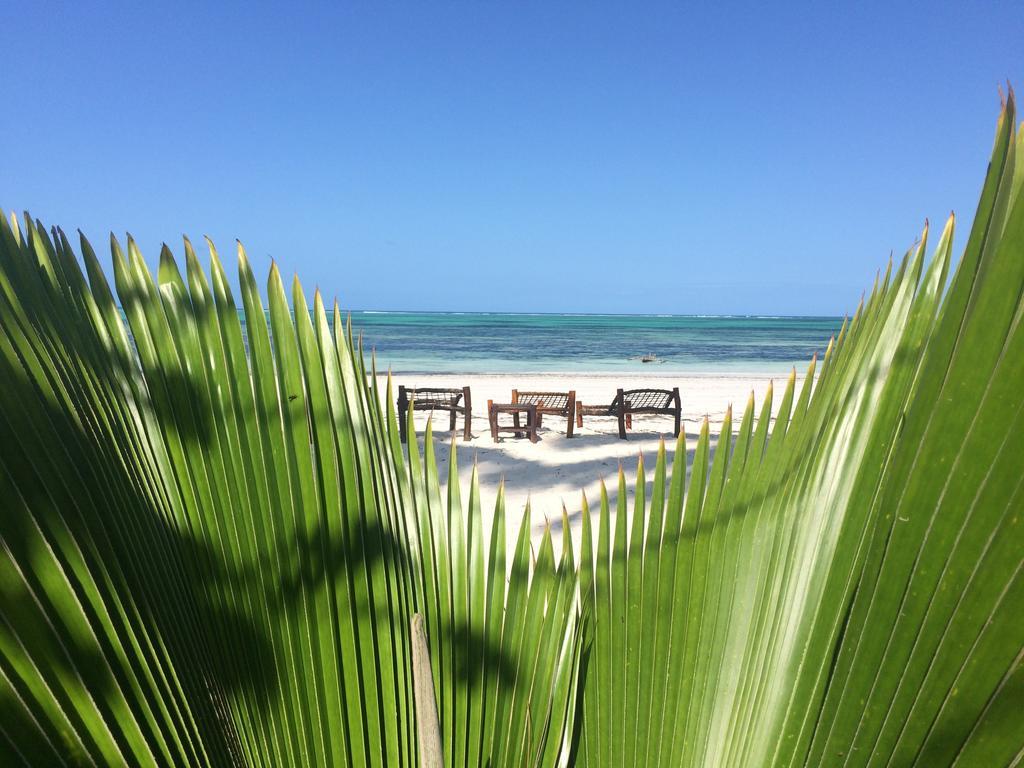 Simba Beach Zanzibar Kiwengwa  Exterior photo