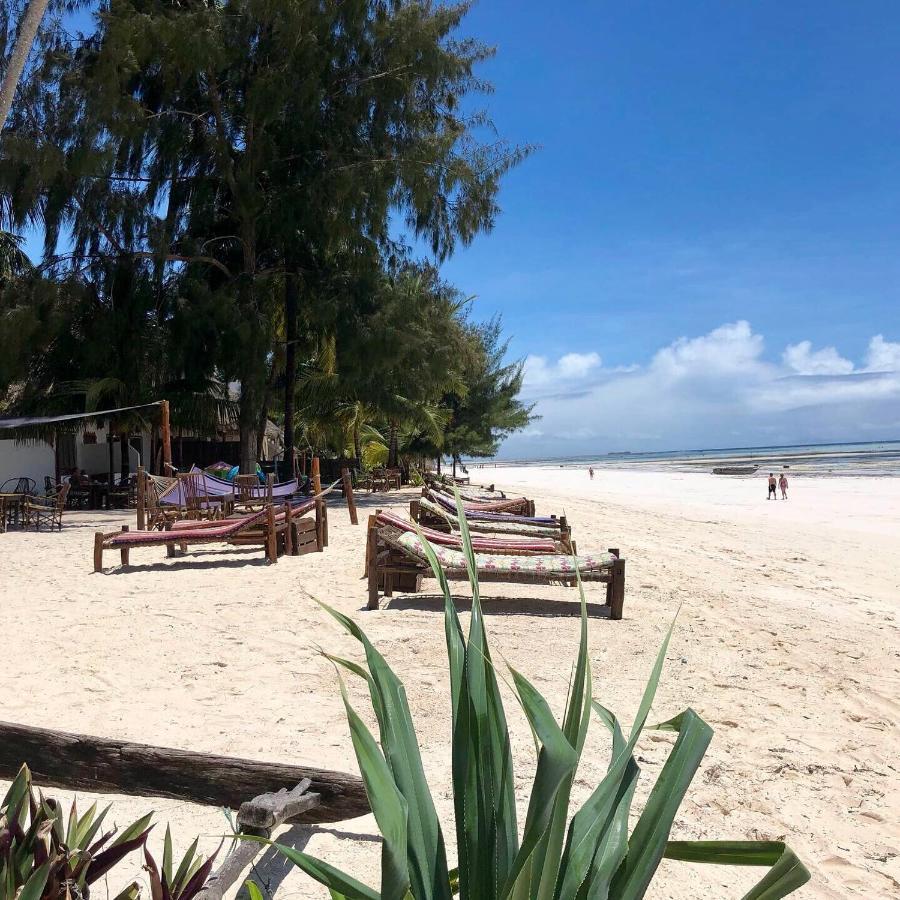 Simba Beach Zanzibar Kiwengwa  Exterior photo